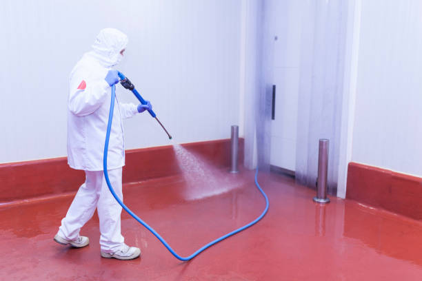 Best Boat and Dock Cleaning  in Haskins, OH