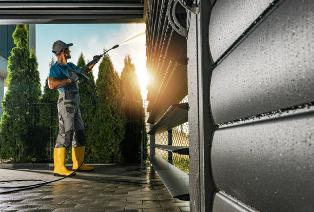 Animal Enclosure Cleaning in Haskins, OH