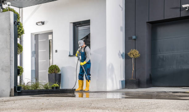 Best Pre-Holiday Cleaning  in Haskins, OH